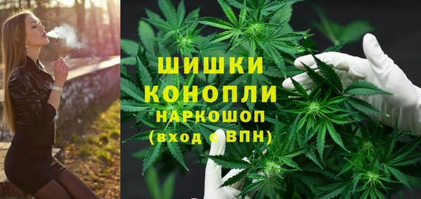 дурь Болотное