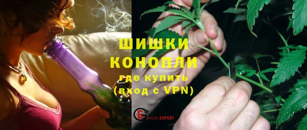 дурь Болотное