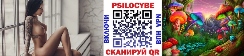 где можно купить наркотик  Ефремов  МЕГА tor  Псилоцибиновые грибы Psilocybine cubensis 